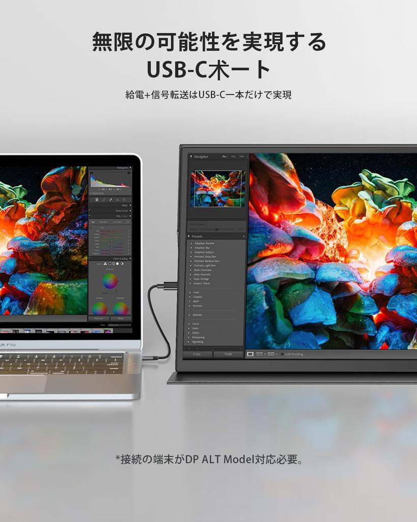 Mobile Monitor Inch Touch Panel EVICIV 120Hz Mobile Display 10 Points Game Monitor 1920 X 1080 Game Monitor Wide Color Gamut for Switch Portable