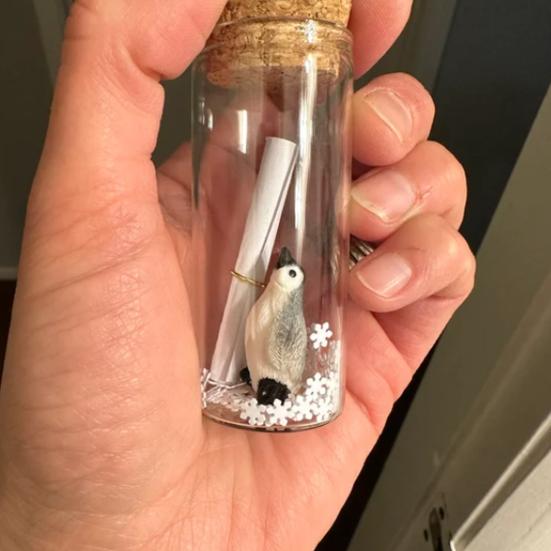 Penguin Message In A Bottle Gift Romantic Handwritten Letter Snowflake Penguin In Glass Bottle for Mother's Day Anniversary Valentine's Day Gift
