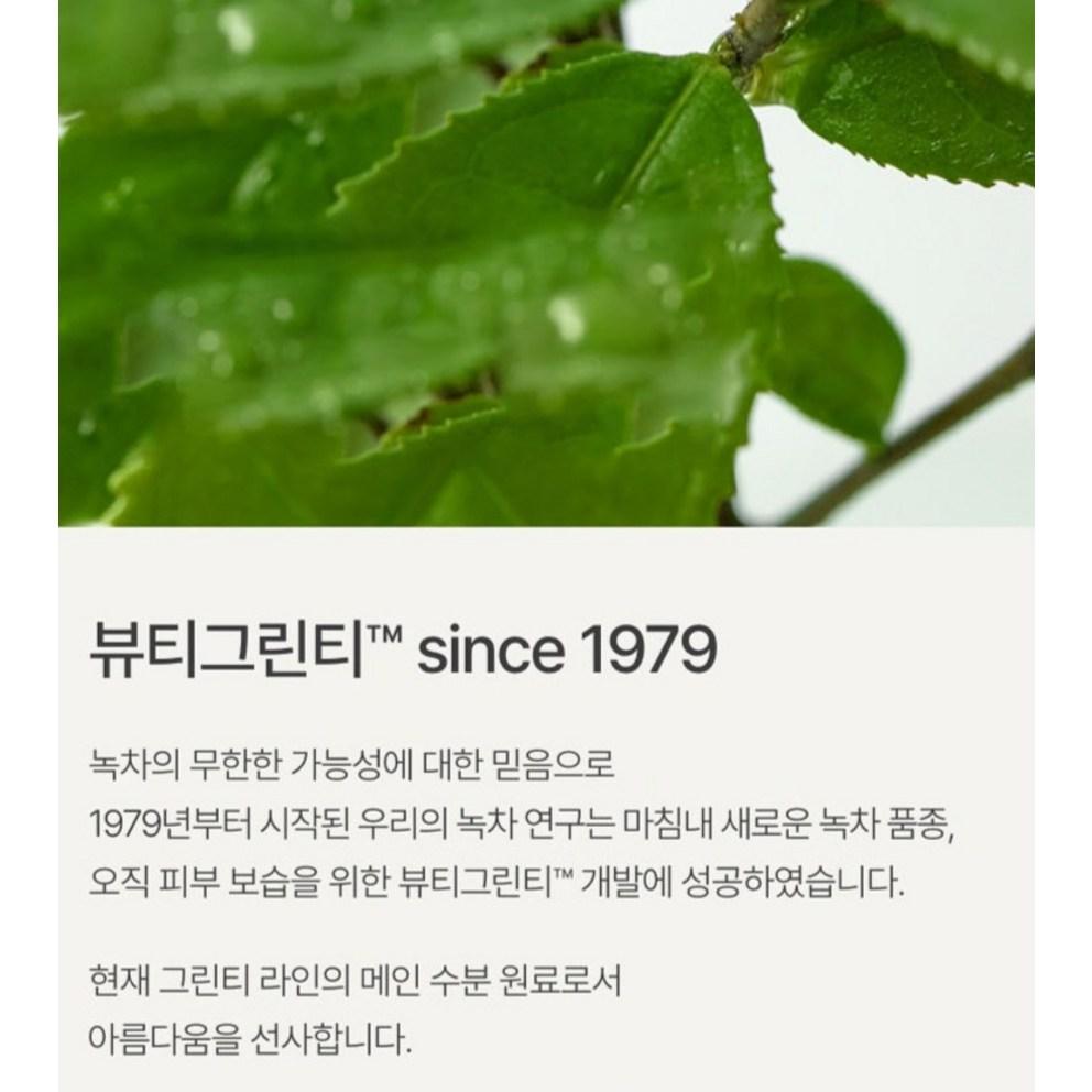 Innisfree Сыворотка с гиалуроновой кислотой и семенами зеленого чая, сменный блок, 80 мл
