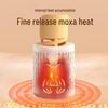 Hozheng Portable Smokeless Moxibustion Device Kit