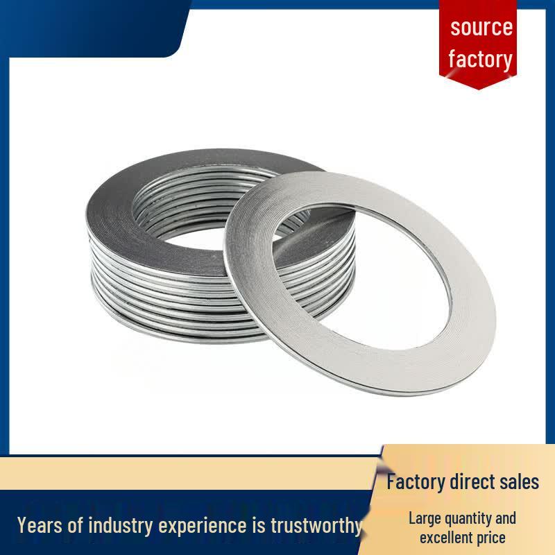 Stainless Steel Metal Graphite Spiral Wound Gasket PN10