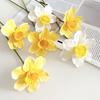 Artificial Daffodil Flowers 15 Inch Length Fake Silk Narcissus Flower Yellow White Faux Flower Bouquet for Floral Arrangement Spring Home