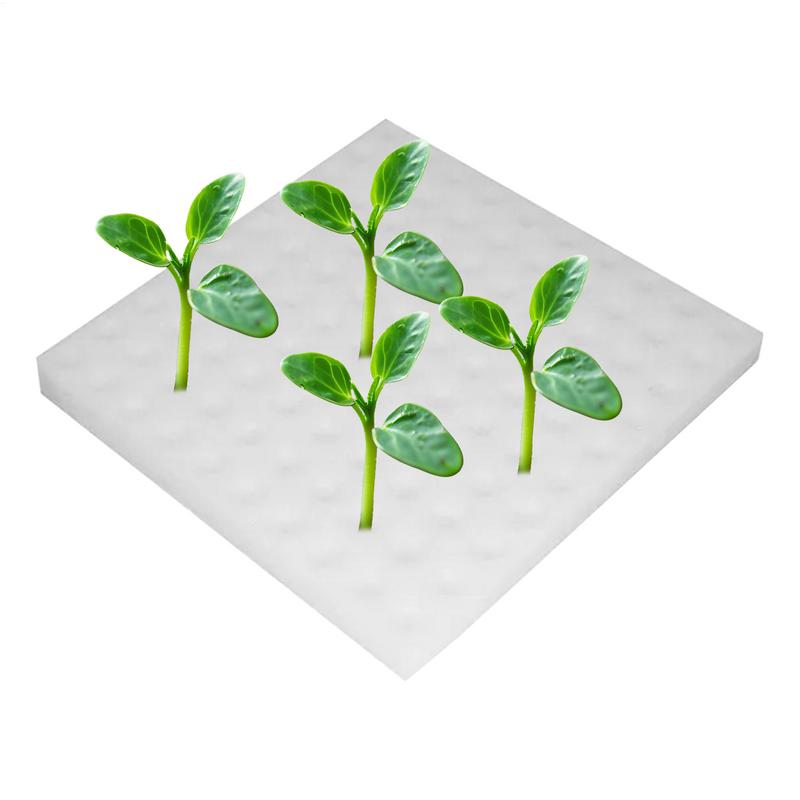 Грязеустойчивый рассадный спонж Беспочвенный пенопластовый рассадный субстрат Спонж для семян Кубик для выращивания Квадрат для выращивания Гидропоника Садовые принадлежности