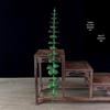 Sashimi Decoration Set: Bamboo Leaves, Edible Flowers & Plants for Salmon and Seafood Dishes