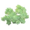 Смешанные искусственные суккуленты Растение Искусственные растения Сад&Дом&Офис Декор