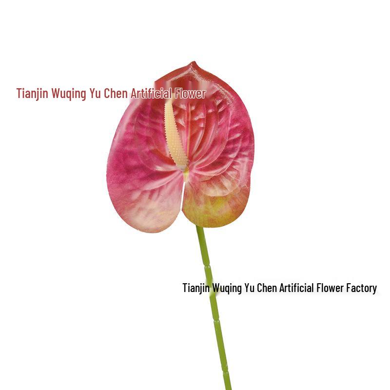 3D Anthurium Flamingo Flower – Smooth White Single Stem Arrangement for New Store Opening Celebration