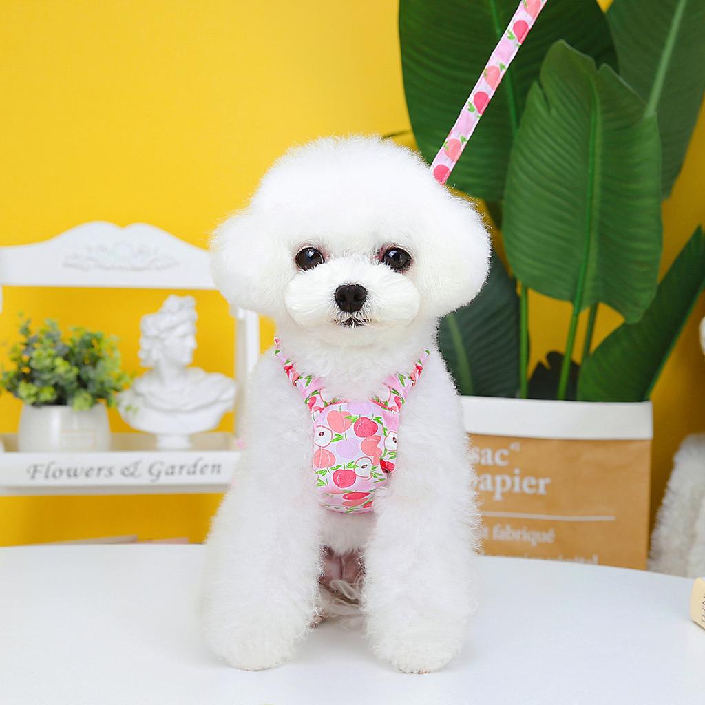 Весна/лето 2023 Одежда для домашних животных Юбка для собак Teddy Schnauzer Маленькая юбка с фруктами для собак (исключая веревку) одежда для домашних животных, одежда для кошек