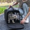 Portable Cat Carrier Bag Breathable Mesh Anti-Lost Pocket Smooth Zipper Pet Out Pouch for Puppy Travel