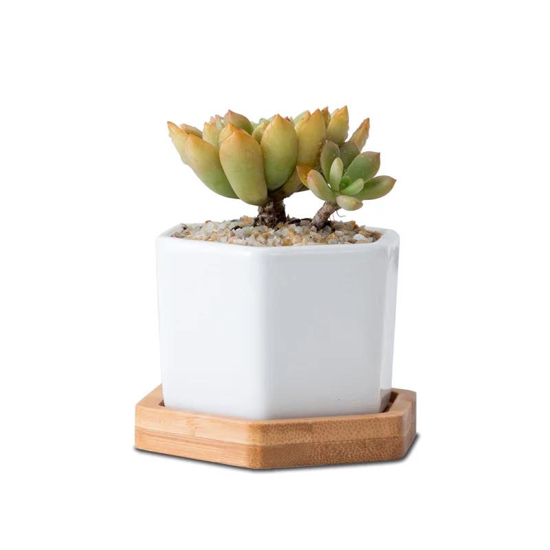 Минималистский белый креативный настольный белый керамический цветочный горшок с бамбуковым поддоном суккулентный горшок для кактусов цветочный горшок
