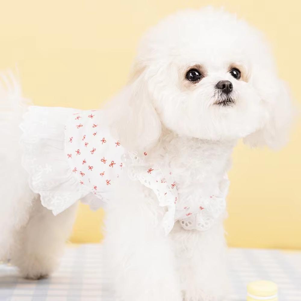 Exquisite Lace Cat Skirt Soft Dog Princess Dress Simple Bow Print Dog Dress Pet Clothes