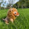 Имитация Льва Кукла Плюшевая Игрушка Сувенир из Зоопарка Кукла Король Лев Детский Подарок