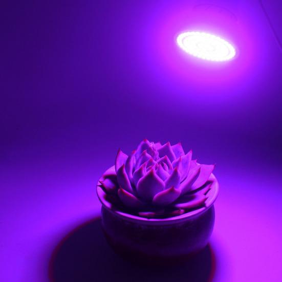 E27 220V 5W 72 LED Plant Growth Light Indoor Vegetable Flower Growing Lamp Part