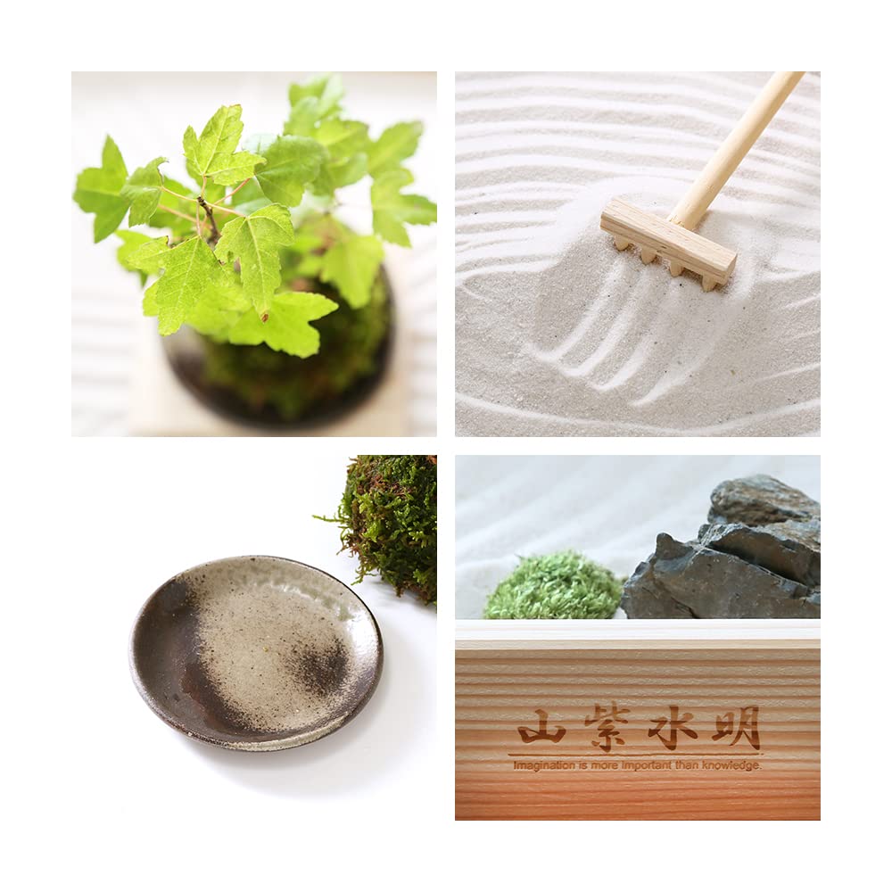 Набор для создания опыта 12 японский сад Каресансуи набор для создания маленького осеннего кленового моха в комплекте (Бонсай) Видео на основе