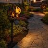 Outdoor Fantasy Garden Decor Solar Dragon Light Statue Lamp Figurine Unique Light Pathway Lawn Ornament Gift for Lovers Decorative