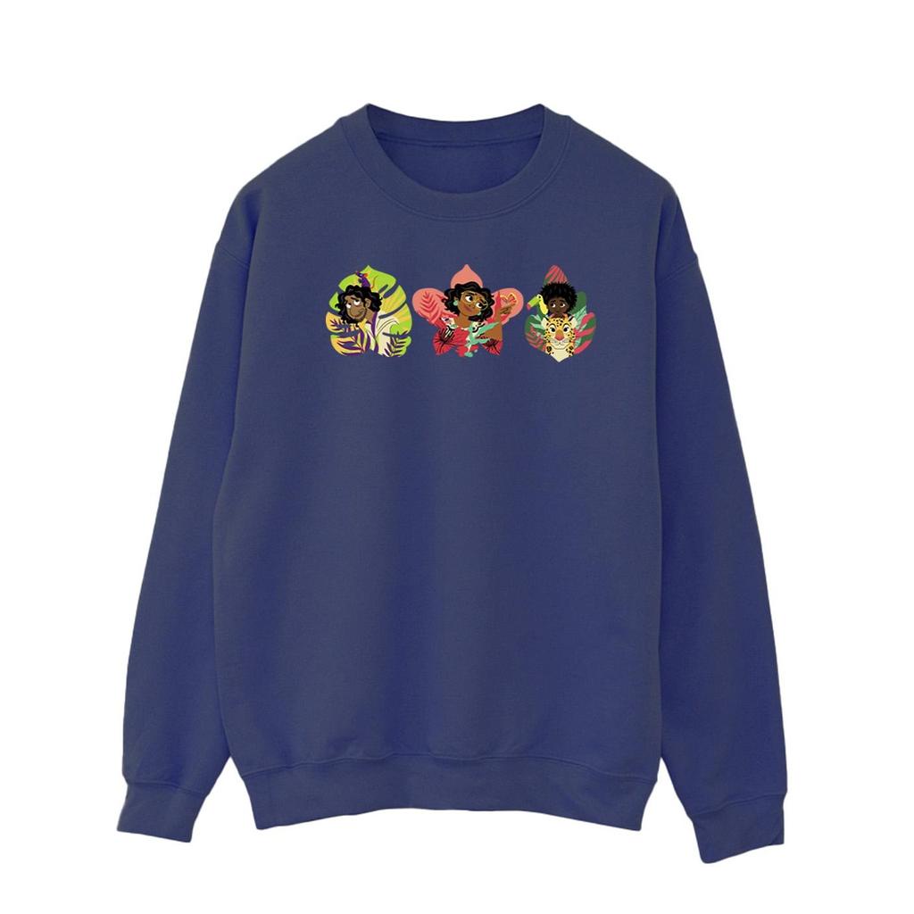 Disney Mens Encanto Family Line Sweatshirt