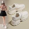 Platform Dad Shoes Women's Height Increasing Ins Trendy New Autumn Mesh Breathable Casual Sneaker