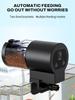 Automatic Fish Feeder for Aquarium,Manual and Automatic Mode,100ml Capacity Auto Fish Feeders Easy To Set Up with Battery