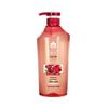 Fenghua Silicone-Free Ginger Shampoo & Wheat Conditioner Set
