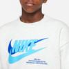 Nike Спортивная флисовая толстовка с круглым вырезом и длинными рукавами Icon Letter Logo Print, детская толстовка цвета березы и серого DX5140-051