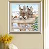 5D DIY Diamond Painting "Donkey and Bird" Animals Embroidery Cross Stitch Rhinestone Home Decor Gift