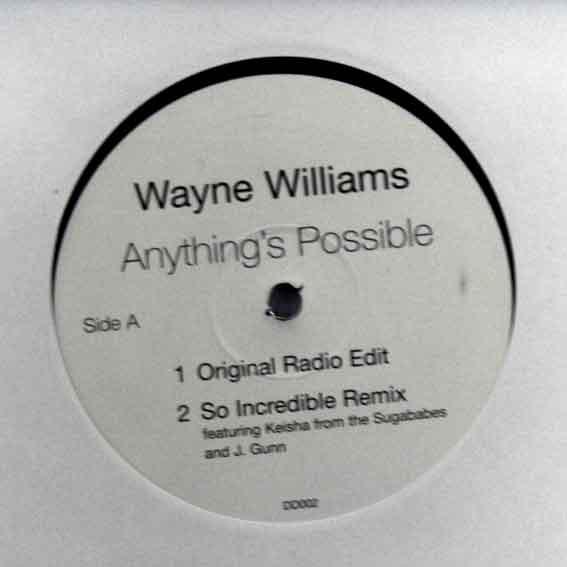 12-дюймовая пластинка WAYNE WILLIAMS - Anything's Possible DD002 D@ts Dope 2001 UK Танцевальная и электронная музыка Б/у