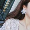 Shape Fashion Acrylic Resin Gifts For Women Girls Drop Earrings Studs Earrings Jewelry Accessories