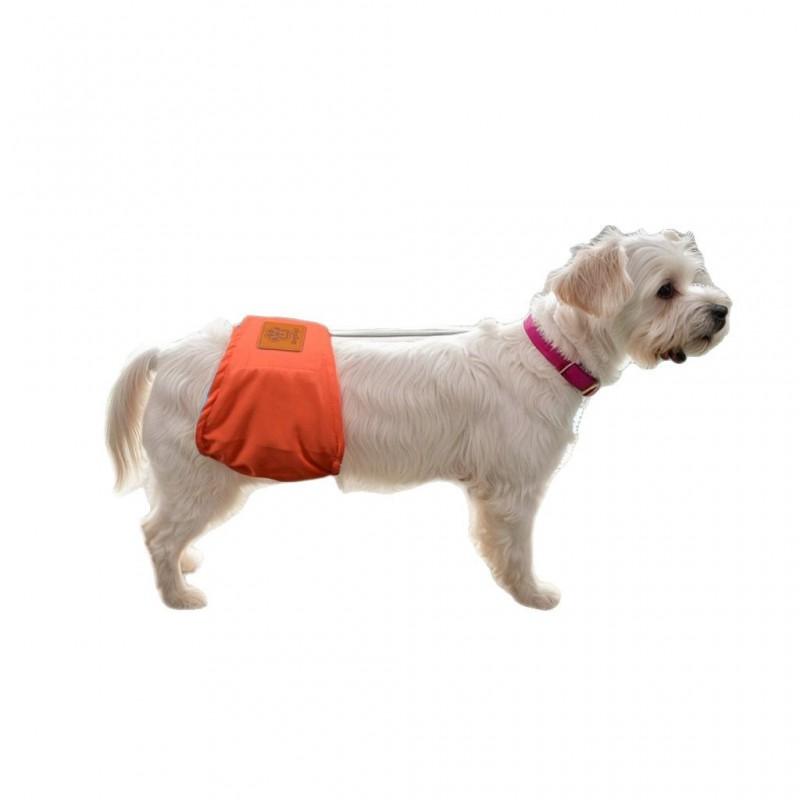 Reusable Dog Diaper Pants Male Dogs Comfortable Sanitary Underwear In Pink Green Blue Orange S M L XL
