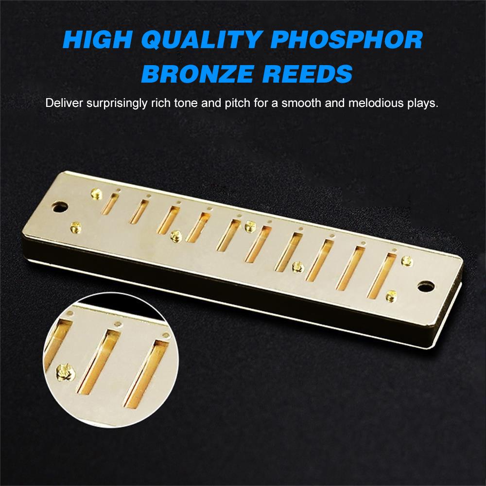 SW1020-7 10 Holes 20 Tones Blues Diatonic Harmonica Key of C Mouth Organ with ABS Case Standard Performance Harmonica for Beginners Kids Students