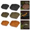 Plastic Reptiles Water Dish Multiple Stage Soaking Basin For Turtles Feeding Bathing Habitat Water Bowl with Ramps