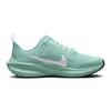 Nike Zoom Air Pegasus 40 Изумрудный Райз (GS) Детские кроссовки Clear-Jade Jade-Ice White DX2498-300