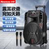 Портативная Bluetooth-колонка для караоке Newmine N509 на колесиках, штекер CN (адаптер в комплекте)