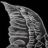 1Pair Wedding Wings For Women Dress Badge Lace Embroidery Sewing Patches Apparel Sewing Fabric