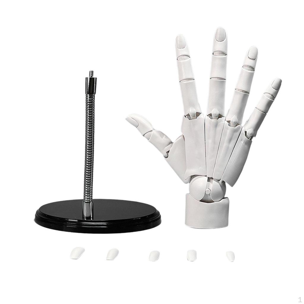 Гибкая модель руки, суставы, подвижные пальцы, держатель для колец, домашний декор, художественный манекен