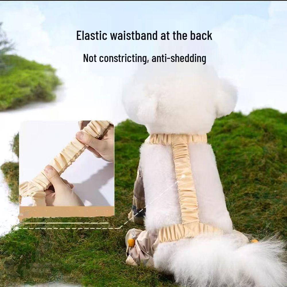 Брюки и гетры для собак - Модная защитная одежда для собак