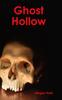 Книга Ghost Hollow