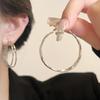 Крючок Пирсинг Круглые Серьги Женские Украшения Для Ушей Украшения Для Ушей Аксессуары Круглые Серьги Кольца Дамы
