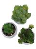 Beautiful Artificial Plants Set Artificial Succulent Imitation Potted Plants Decorative Flower Pot Desktop Decoration