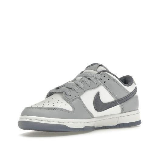 Nike Кроссовки мужские Dunk Low SE Light Carbon Серые FJ4188-100