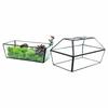Geometric Glass Greenhouse: Preserved Flower & Moss Succulent Display for Home & Restaurant Decor