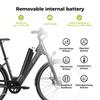 Электровелосипед DERUIZ Quartz 28'' с мотором 250 Вт Городской Ebike - Аккумулятор 48 В 13,4 Ач, Запас хода до 161 км, Гидравлические тормоза, Датчик крутящего момента, 8 скоростей, Грузоподъемность 130 кг