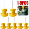 1-5pcs Fruit Fly Trap Killer Plastic Drosophila Trap Fly Catcher Pest Insect Control Fly Trap Killer Cover For Home Farm Orchard