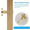 10pcs Golden Polished Metal Drawer Knobs, 20x25mm - Durable Single Hole Handles for Cabinets, Wardrobes & Dressers with Screws Included