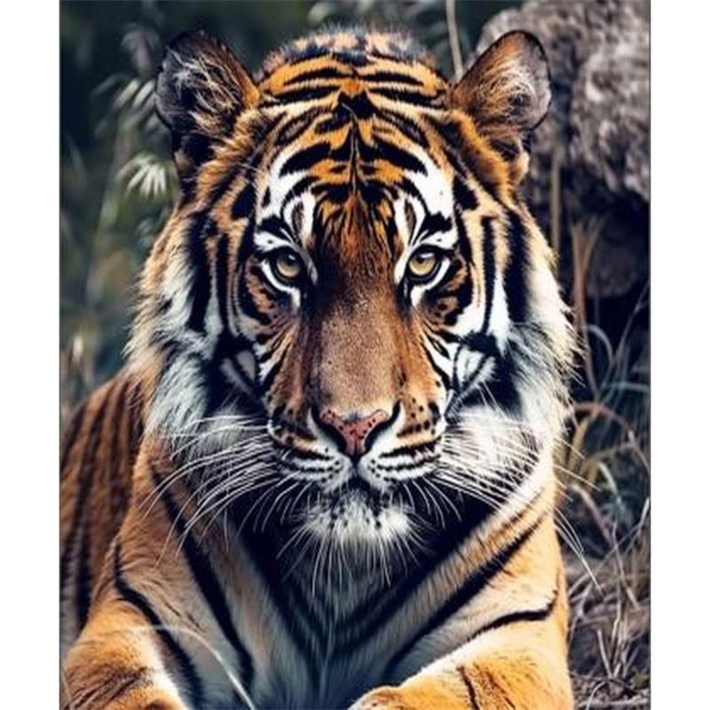 DIY 5D Алмазная картина Полная круглая Алмазная мозаика с изображением животных Ручная вышивка стразами Домашний декор Подарки