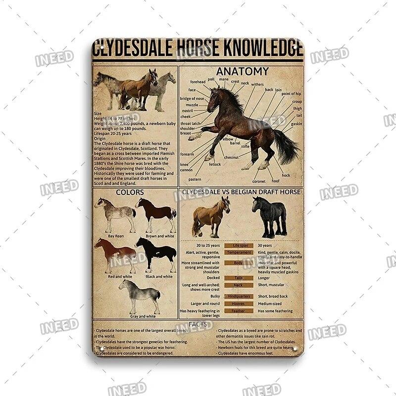 Оловянный знак Знание стоматолога Колли винтажная доска художественный плакат для стоматологического кабинета фитнес-клуба офиса ванная комната Настенный декор подарок