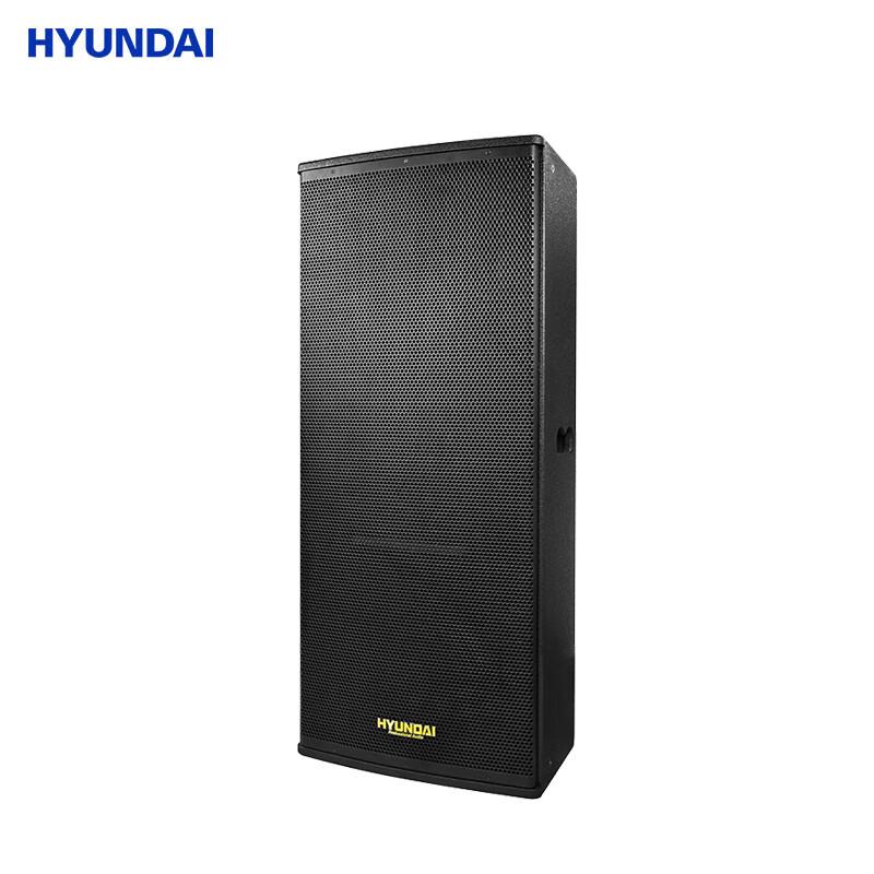 Hyundai HY125 Professional Dual 15-inch Full-Range Speaker CN plug (adapter included) (CN version)