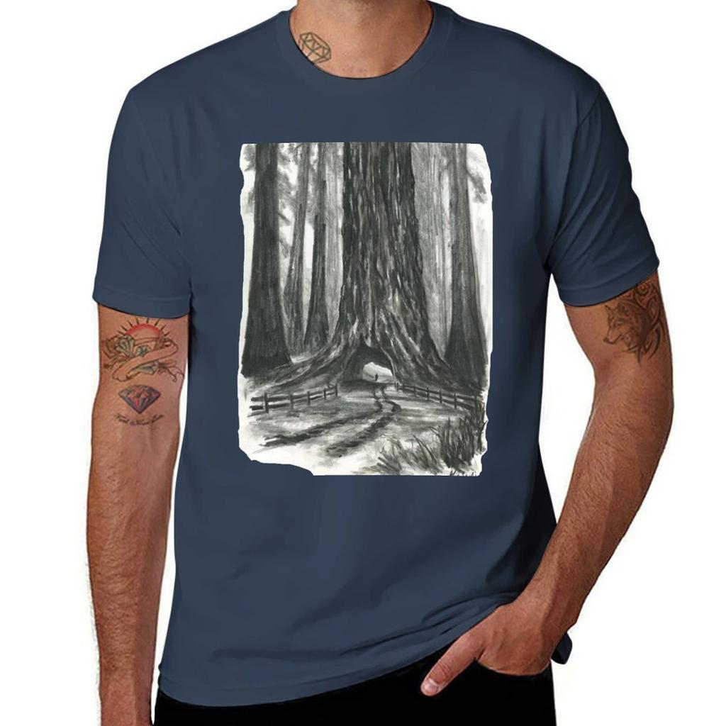 Redwood Graphite TShirt Quick Dry Light Sports TShirt