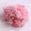L&B Artificial Plant Preserved Flower Reindeer Moss DIY Craft Garden Home Decor