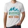 Homme Graphique  Tee Shirt Graphic T Shirt Wilderness NEW YORK White Smoke