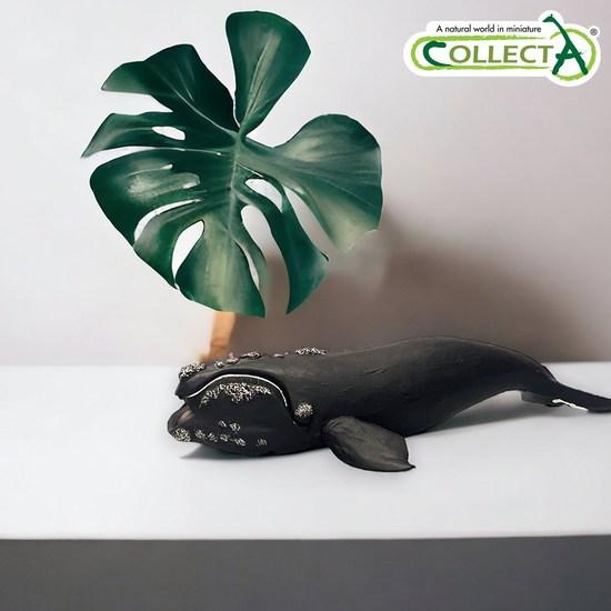 Collecta Southern Right Whale, Popular Toys In Korea