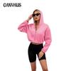 Autumn and Winter Women's Fashion Zipper Hooded Drawstring Solid Colour Short Section Long Sleeve Sweatshirt